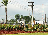 Rotatória na avenida Tiradentes recebe paisagismo