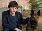 Confira os lançamentos da Warner Home Video para Janeiro e Fevereiro