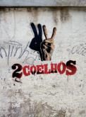 Dois Coelhos